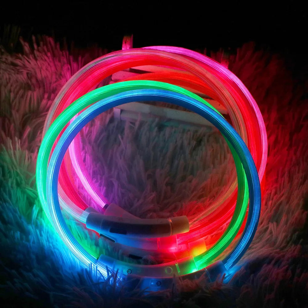 Led Dog Collar Luminous Usb Cat Dog Collar Modes Led Light