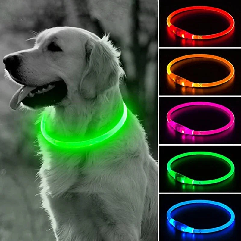 Led Dog Collar Luminous Usb Cat Dog Collar Modes Led Light