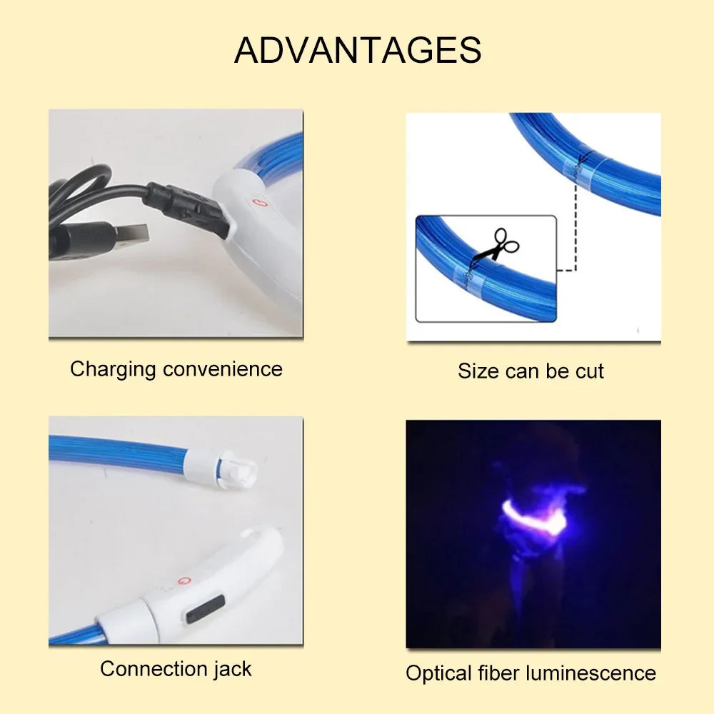 Led Dog Collar Luminous Usb Cat Dog Collar Modes Led Light