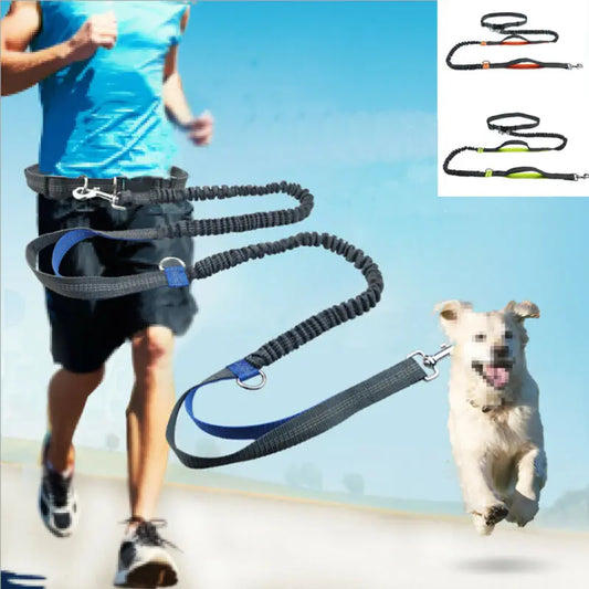 Pet Dog Running Belt Elastic Hands  Metal D-ring Leashes Harness