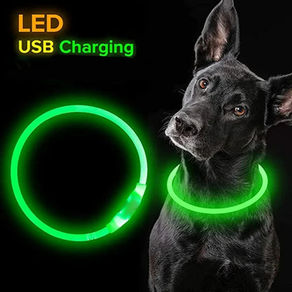 Led Dog Collar Luminous Usb Cat Dog Collar Modes Led Light