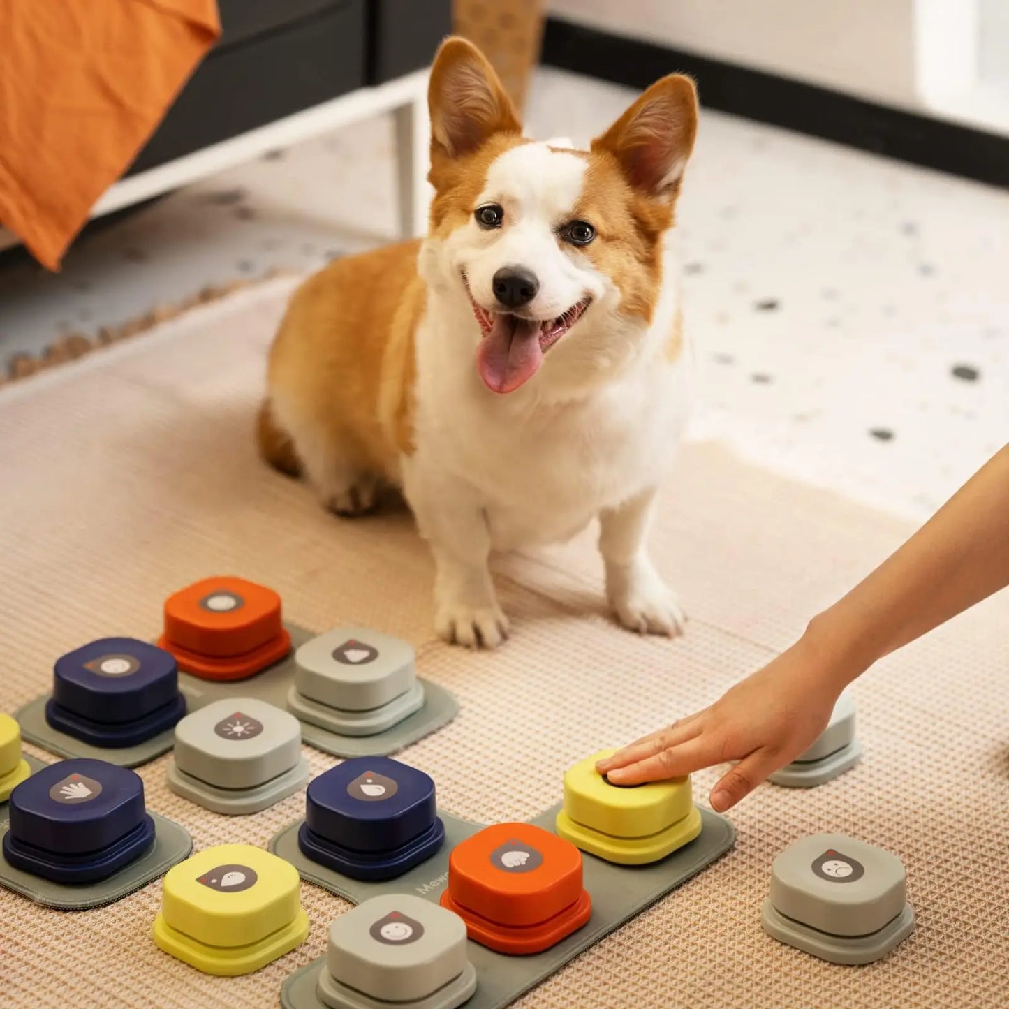 Dog Button Record Talking Pet Vocal Training Interactive Toy Bell